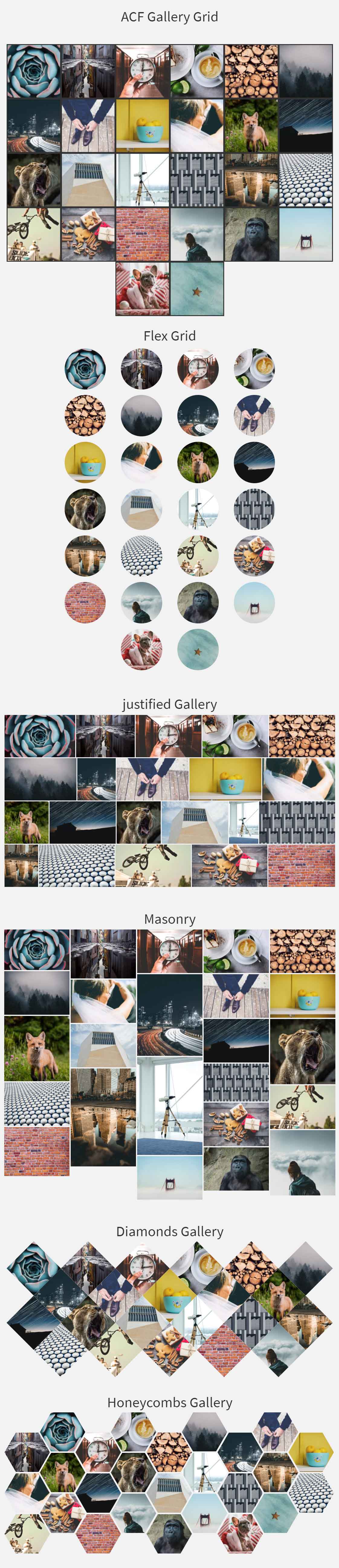 Galleria ACF Widget da Dynamic.ooo per Elementor